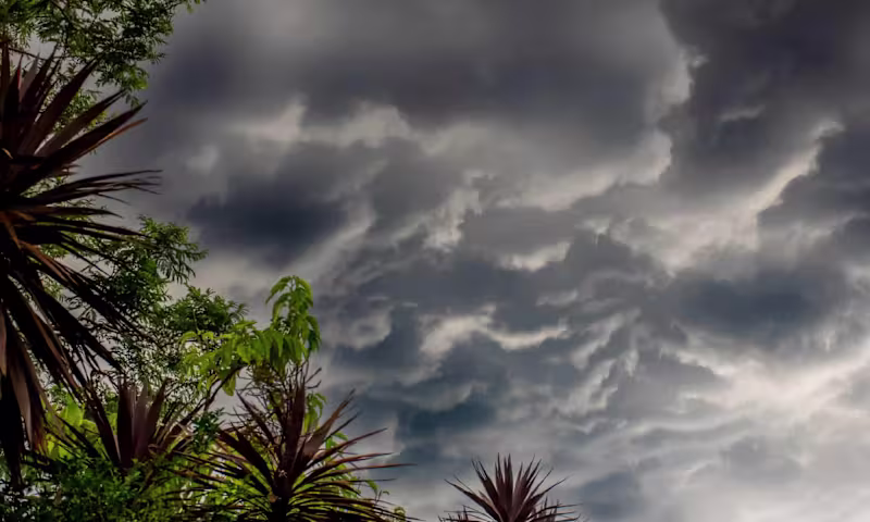 Cover image for What Are the Effects of Acid Rain?