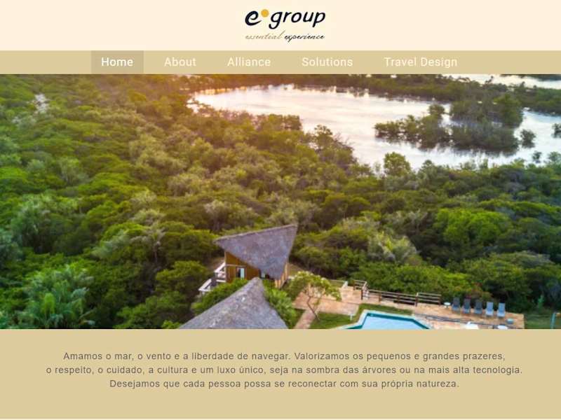 Cover image for E group