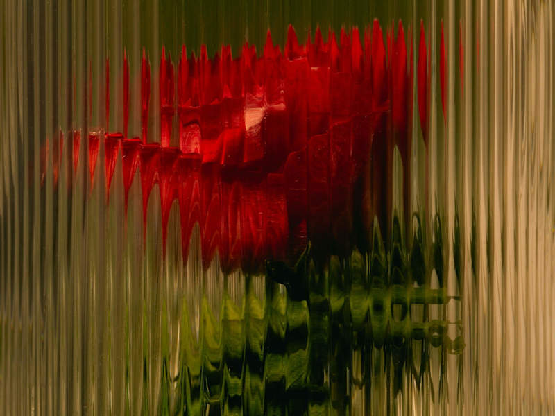 Cover image for UGC Video