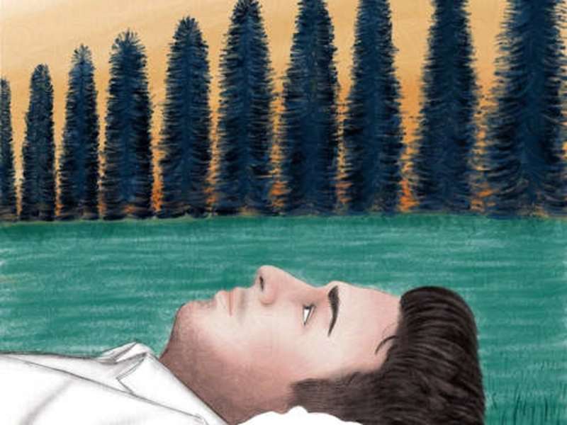 Cover image for Book Cover illustration