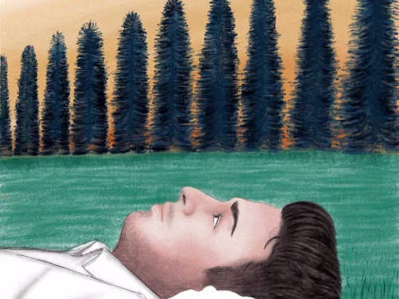 Cover image for Book Cover illustration
