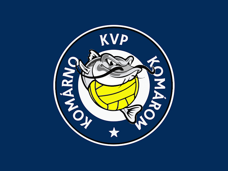 Cover image for Logo and Brand Identity for Local Water Polo Team