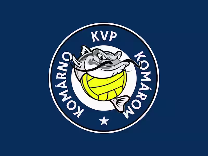 Cover image for Logo and Brand Identity for Local Water Polo Team