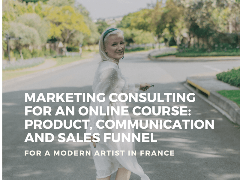 Cover image for Marketing strategy for an online product launch