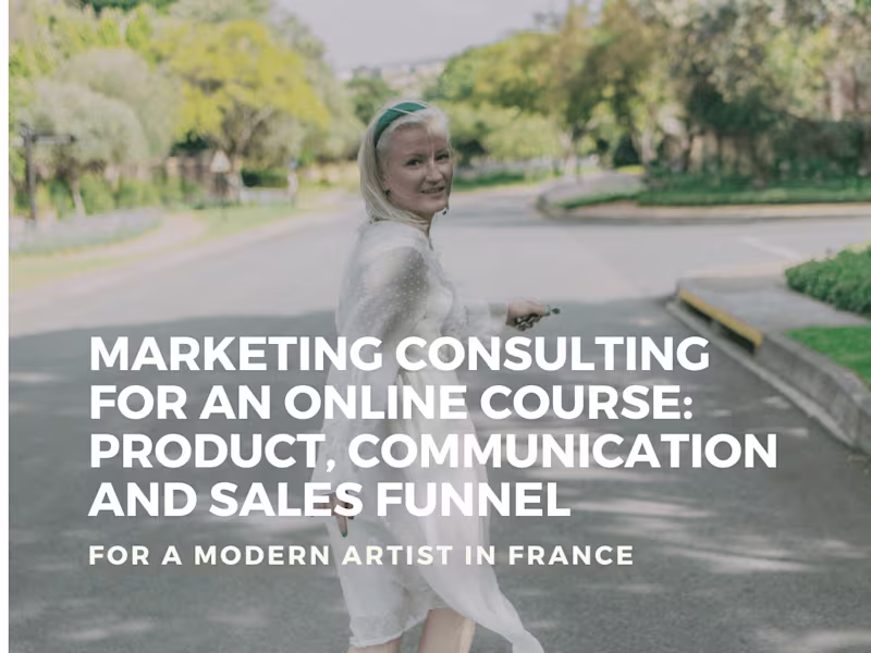 Cover image for Marketing strategy for an online product launch