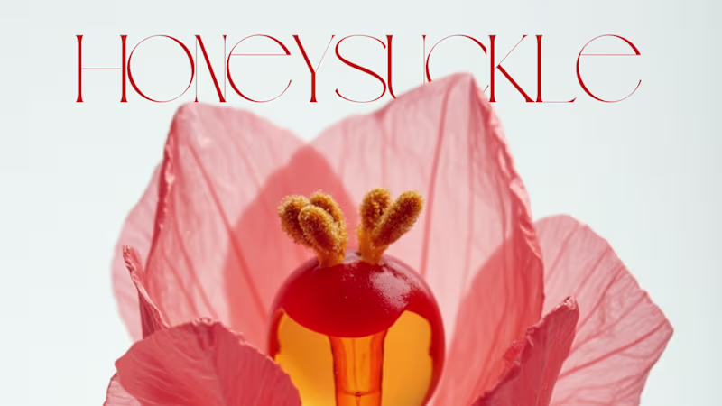 Cover image for The Signature Collection — Custom Branding Kit