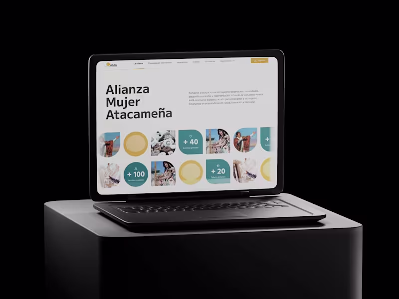 Cover image for Enhancing Access to Opportunities