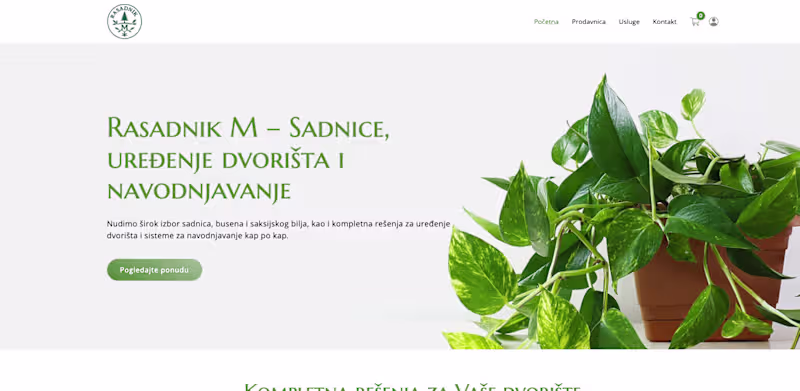 Cover image for WooCommerce Store Development