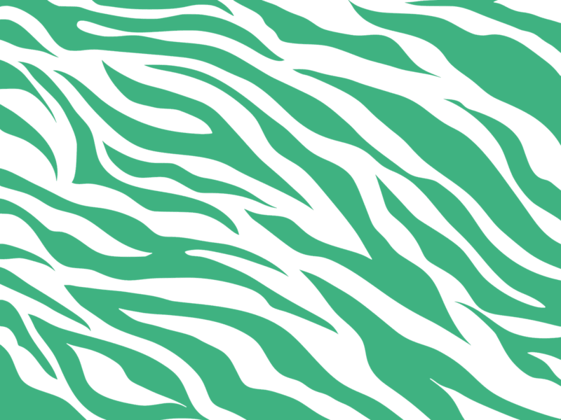 Cover image for Zebra Club Launch Video