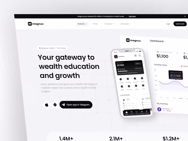 Cover image for Magnus Capital
