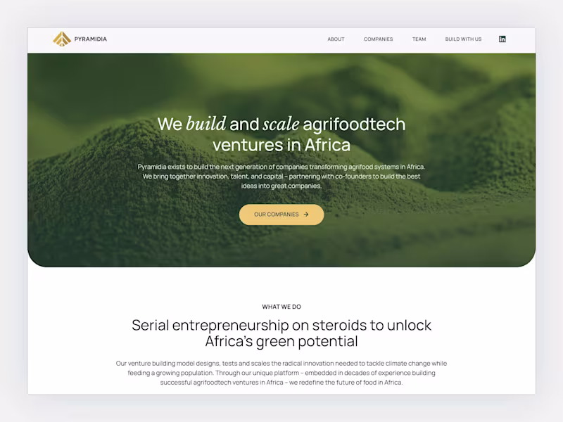Cover image for Pyramidia Ventures Website Redesign