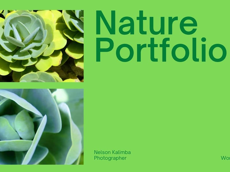 Cover image for Photography Portfolio
