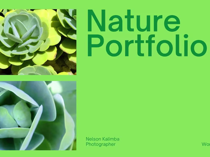Cover image for Photography Portfolio