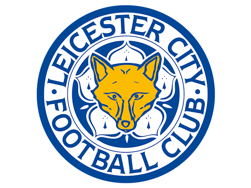 Cover image for Understanding Leicester City's rise and fall