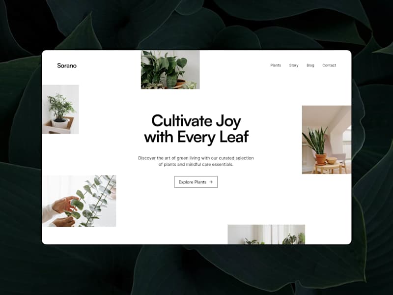 Cover image for ✦ Framer Website (Development)