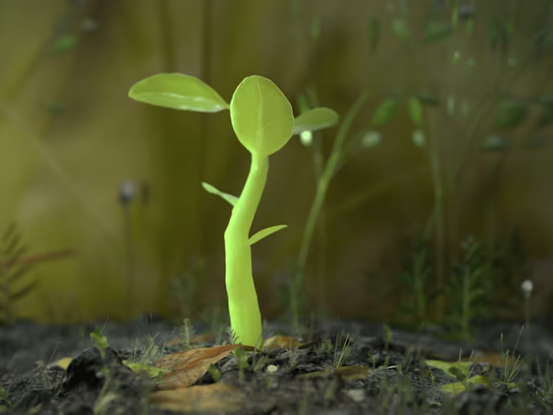 Cover image for Growing Plant Animation