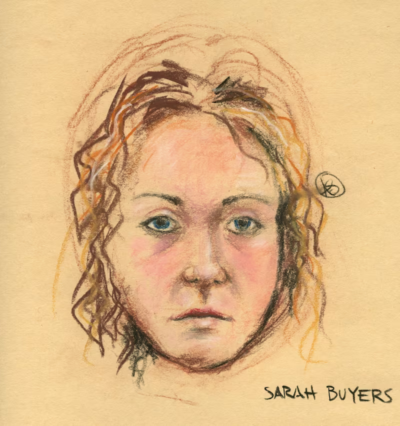 Cover image for FSarahaBeyer