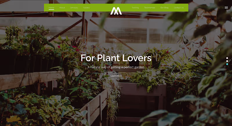 Cover image for Gardening Landscape | MegaOne