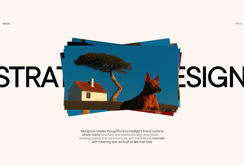 Cover image for Website Direction