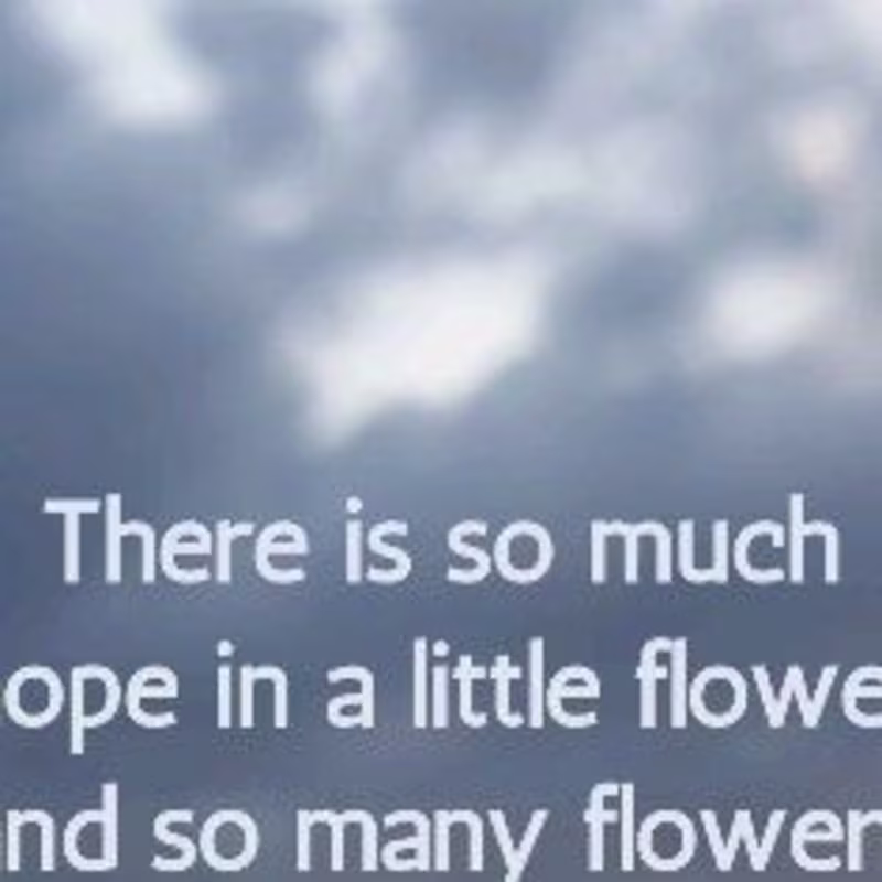 Cover image for quote design 