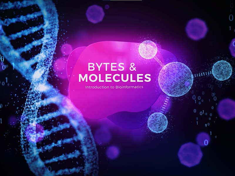 Cover image for Corporate Motion Design Reel
