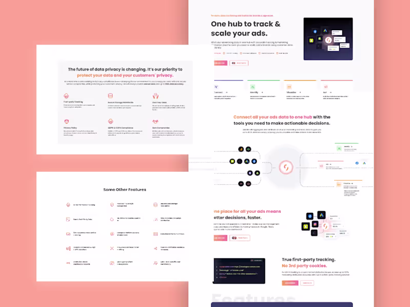 Cover image for Stiddle