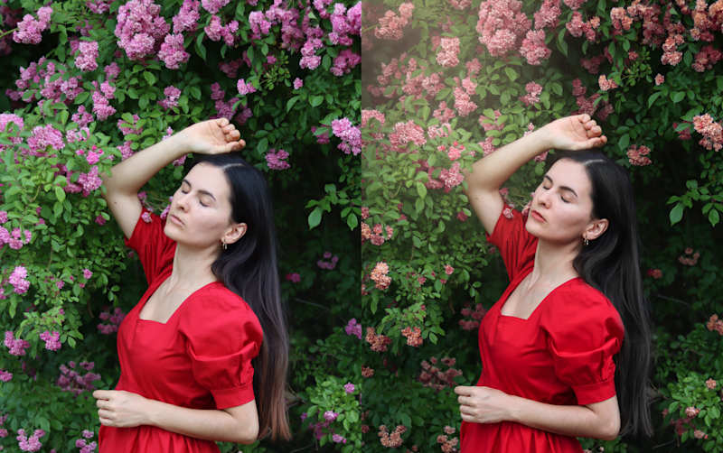 Cover image for Professional Portrait Editing 