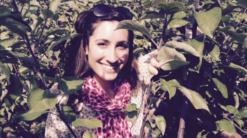 Cover image for Pitch Deck Design