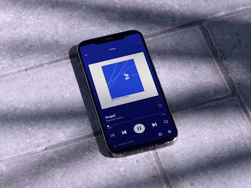 Cover image for Album Cover & Promotional Graphic for Mutual Friend