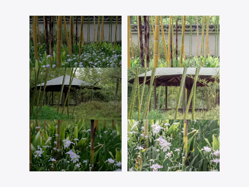 Cover image for Photography editing of japanese bamboo garden