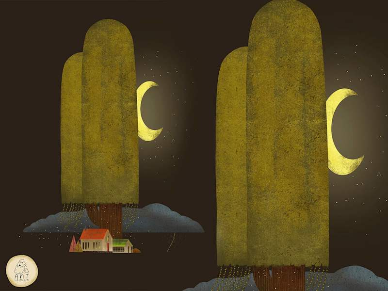 Cover image for Big Storms, Tiny Homes