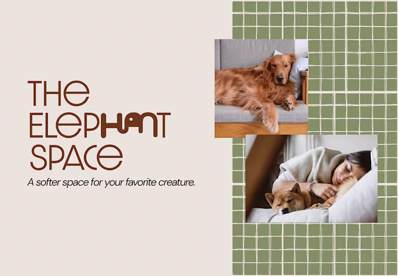Cover image for Branding & Identity for a Modern Pet Lifestyle Brand