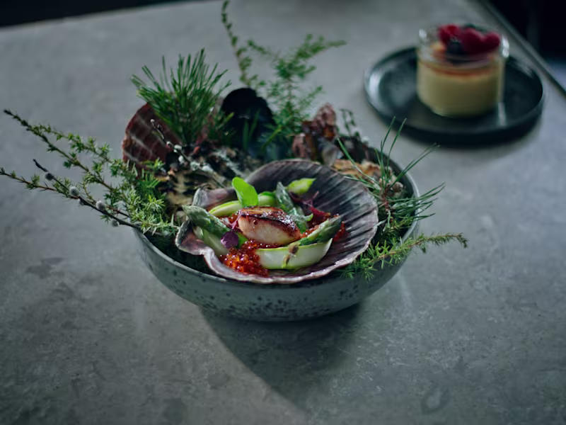 Cover image for High-End Cinematic Color Grading & Color Correction