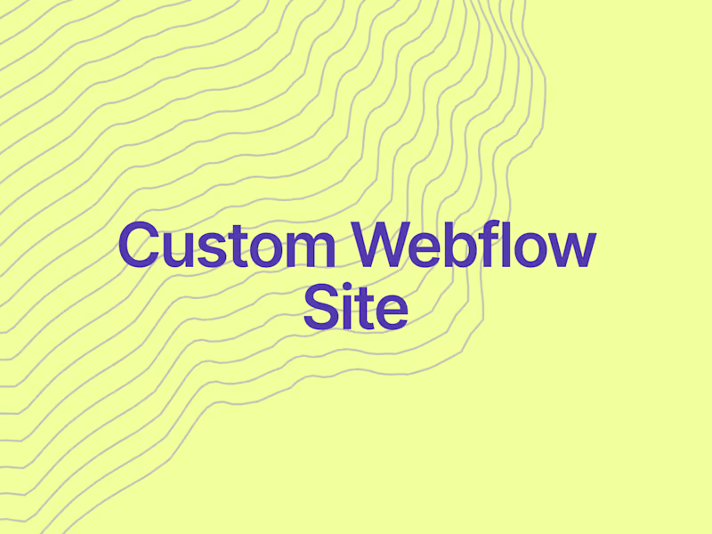 Cover image for Custom Webflow Website Development