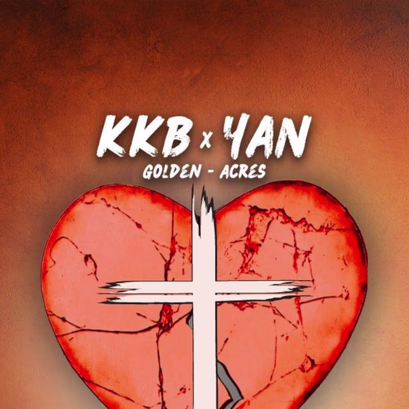 Cover image for Loved but hurt