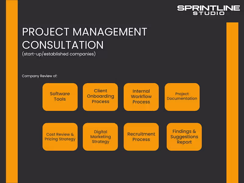 Cover image for Project Management Consultation