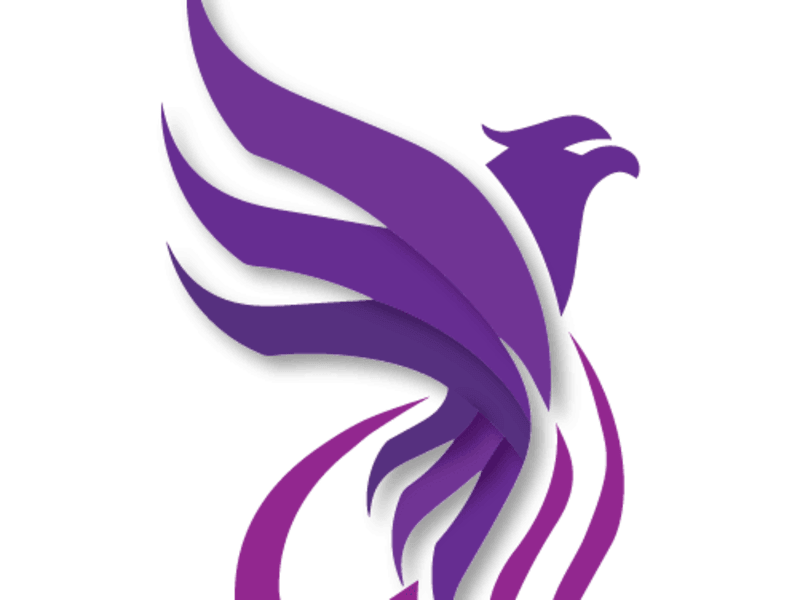 Cover image for DreamWeavers Coaching | Digital Content Creatives