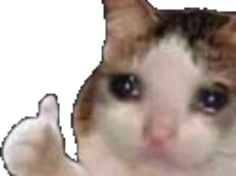 Cover image for Customer Support