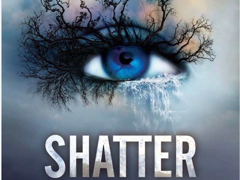 Cover image for Engaging Fiction Series