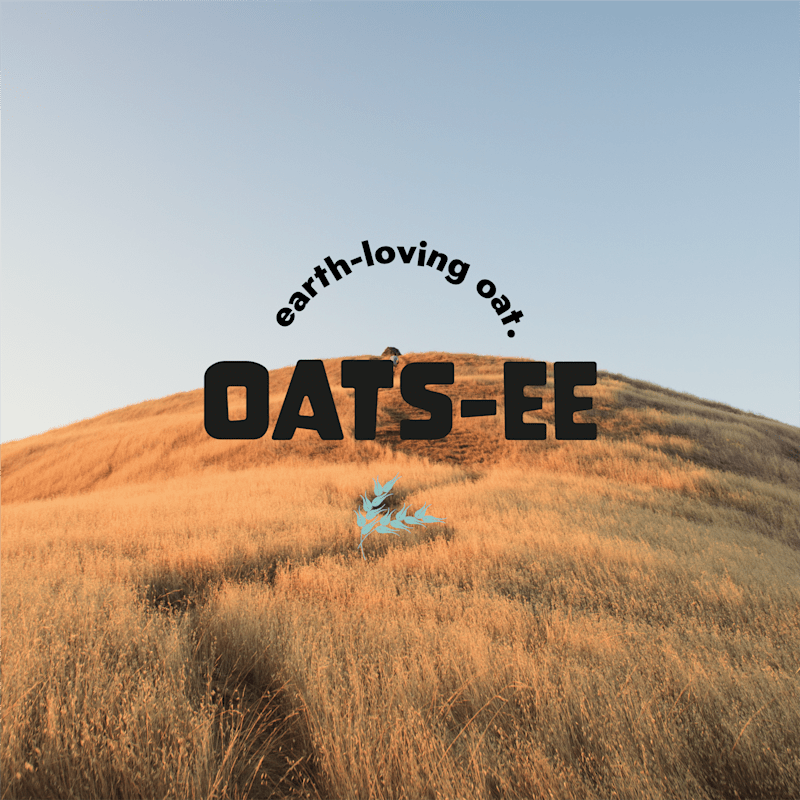 Cover image for Oatsee