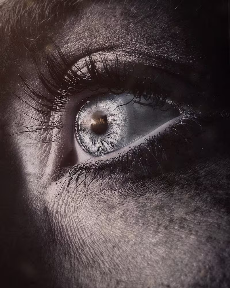 Cover image for Wisdom of Crowds | 2d art