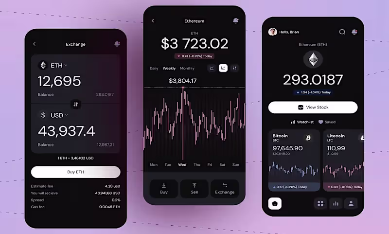 Cover image for Comprehensive Fintech App