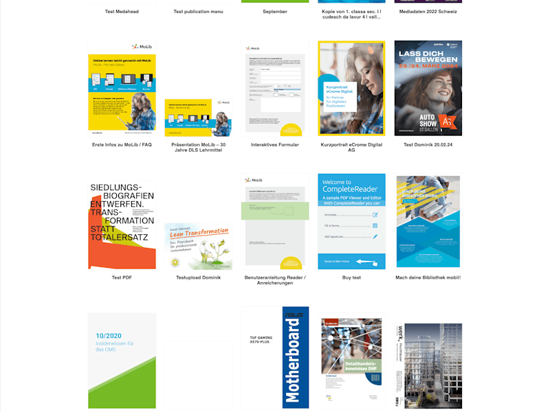 Cover image for Molib at Ecrome Digital