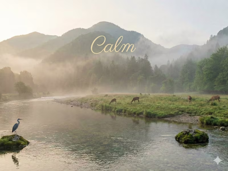 Cover image for The Donor App Development