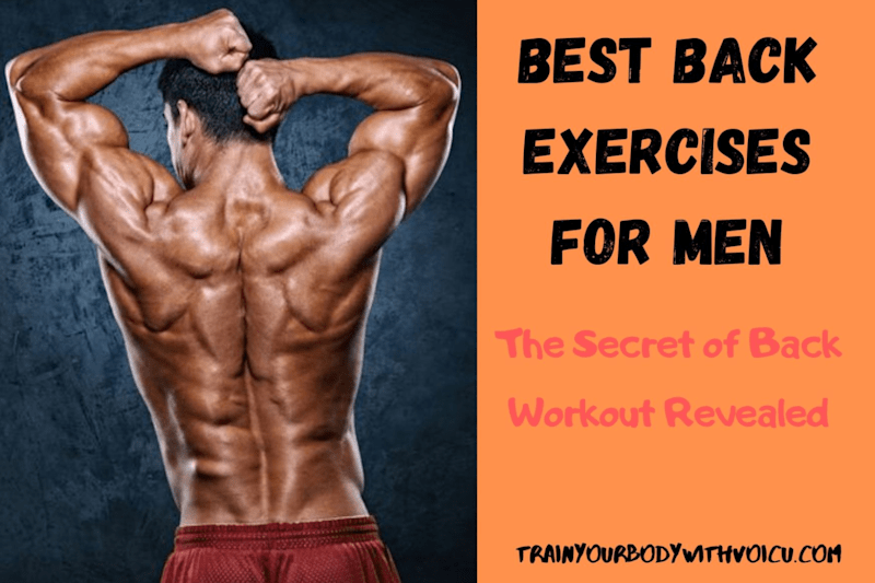 Cover image for www.TrainYourBodyWithVoicu.com
