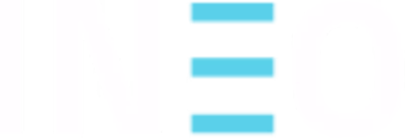 Cover image for INEO