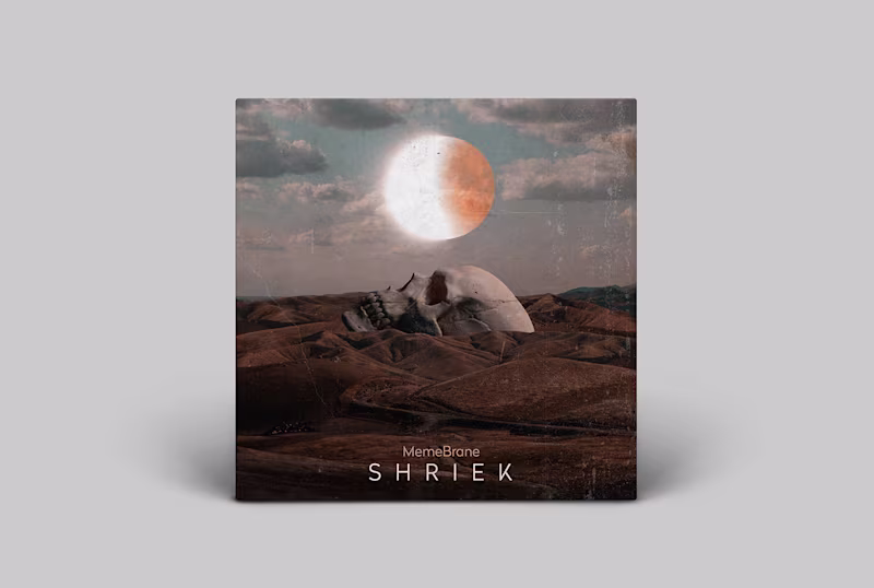 Cover image for Album Covers Vol.3