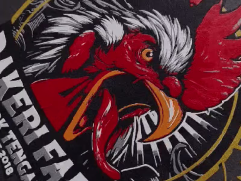 Cover image for Vectorization, Mockups, Color Separation & Print