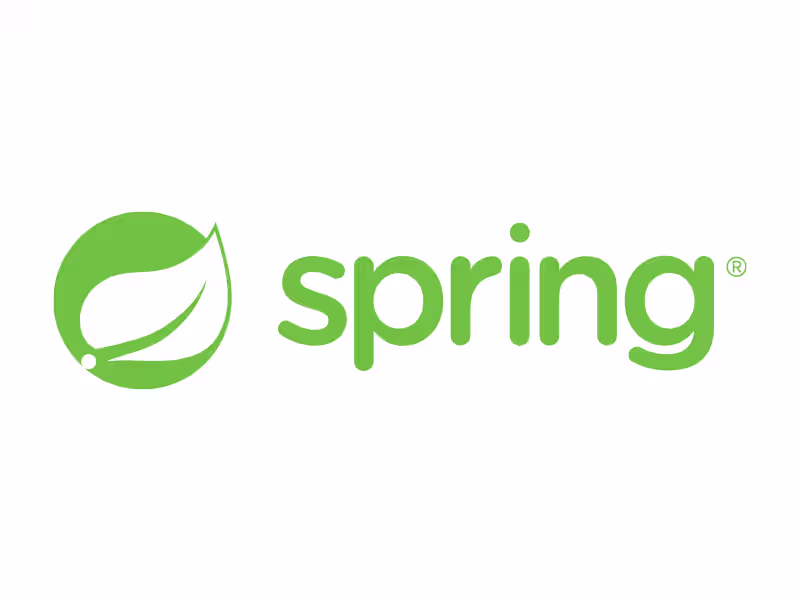 Cover image for Developing Java Spring backend of web applications