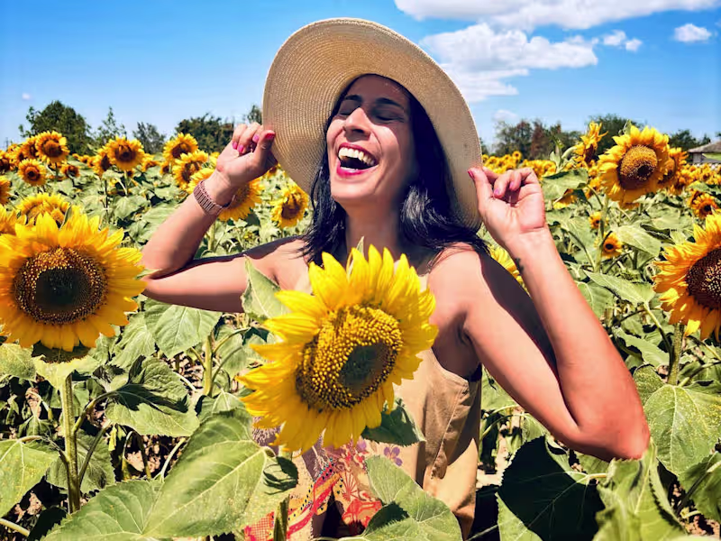 Cover image for UGC Video